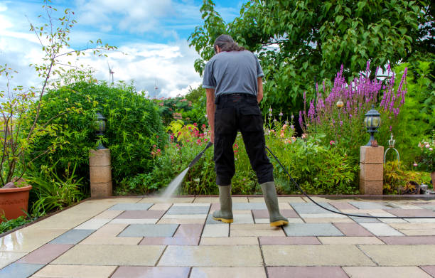 Best Pool Deck Cleaning  in Riverdale, IL