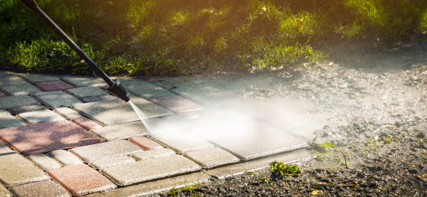 Best Sidewalk and Walkway Cleaning  in Riverdale, IL