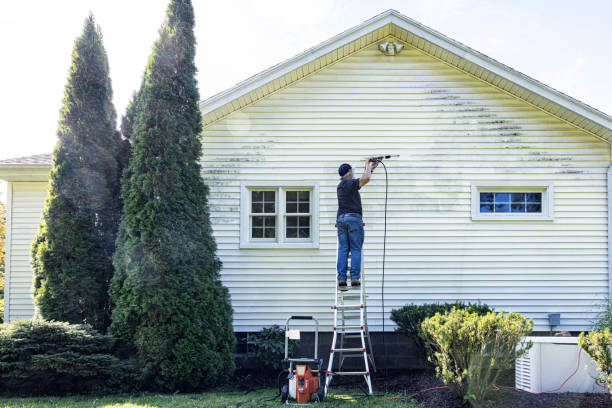 Best Driveway Pressure Washing  in Riverdale, IL